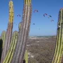 #30566 Campus Macau promoveu campeonato de Kitesurf