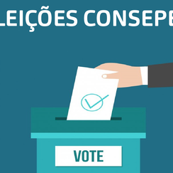 #30684 Publicado resultado preliminar do Consepex