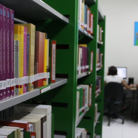 #32361 Divulgado resultado da seleção de estágio em biblioteconomia