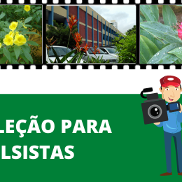 #32621 Publicado o resultado final de seleção de bolsistas do curso de multimídia