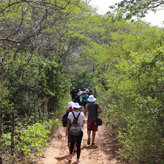 #32873 Servidores participam de trilha ecológica