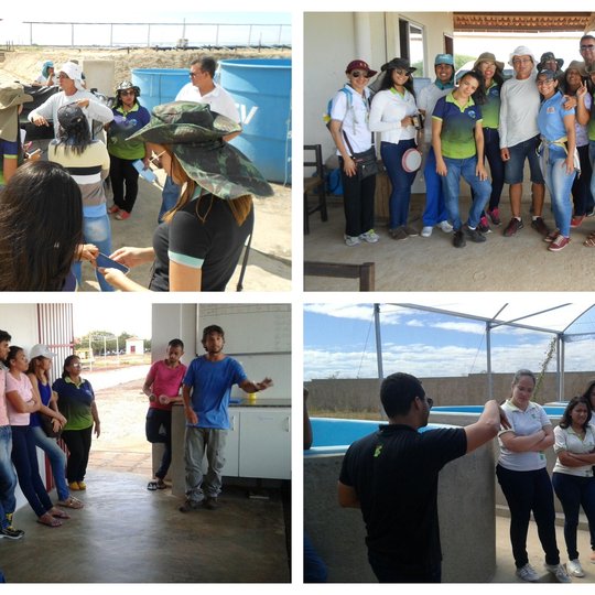 #33653 Campus realiza aulas práticas na UPA e em fazenda em Macau
