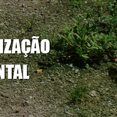 #34031 Campus Macau sediará Curso de Capacitação em Fiscalização Ambiental