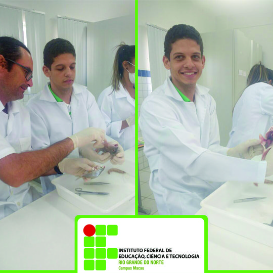 #34204 Realizado aula prática e inclusão  