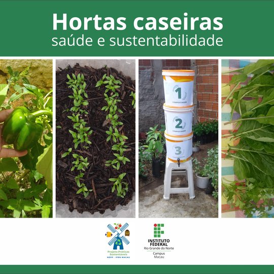 #34545 Curso sobre Hortas Caseiras promovido pelo NEPP/MC atrai atenção da comunidade