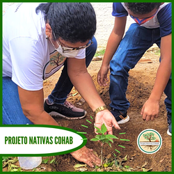 #34811 PROJETO NATIVAS COHAB REALIZA  AÇÃO DE EDUCAÇÃO AMBIENTAL EM ESCOLA MUNICIPAL DE MACAU