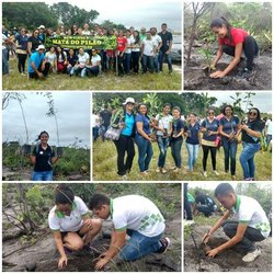 #36022 Alunos do Campus Canguaretama participam de reflorestamento na Mata do Pilão 