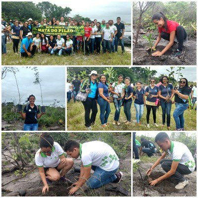 #36022 Alunos do Campus Canguaretama participam de reflorestamento na Mata do Pilão