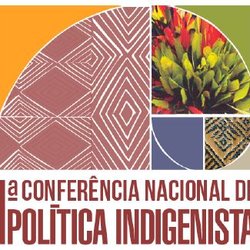 #36085 Conferência Nacional de Política Indigenista - Etapa Local 