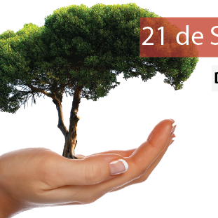 #36791 Campus Avançado Lajes inicia campanha no dia da árvore 