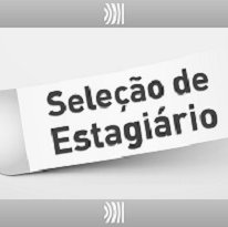 #37505 Resultado da análise curricular para estagiário em Adminstraçao