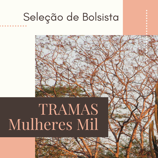 #38427 Mulheres Mil abre seleção para bolsista do programa TRAMAS