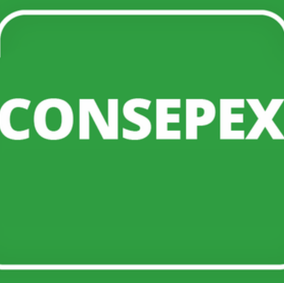 #41168 Lista de candidaturas homologadas para a eleição do Conselho de Ensino, Pesquisa e Extensão