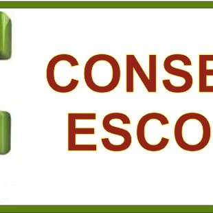 #41213 CONSELHO ESCOLAR
