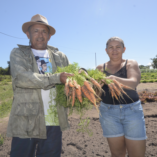 #41433 Criada há 6 meses, incubadora de economia solidária comemora resultados