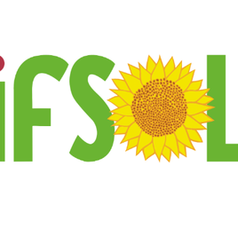 #41793 Divulgados horários das entrevistas da seleção de bolsas do Projeto IFSol