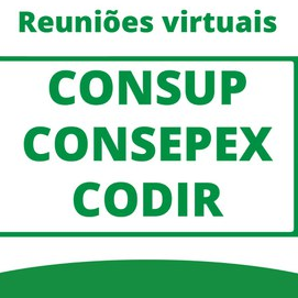 #42399 Pais ou responsáveis terão acesso às reuniões de colegiados do IFRN