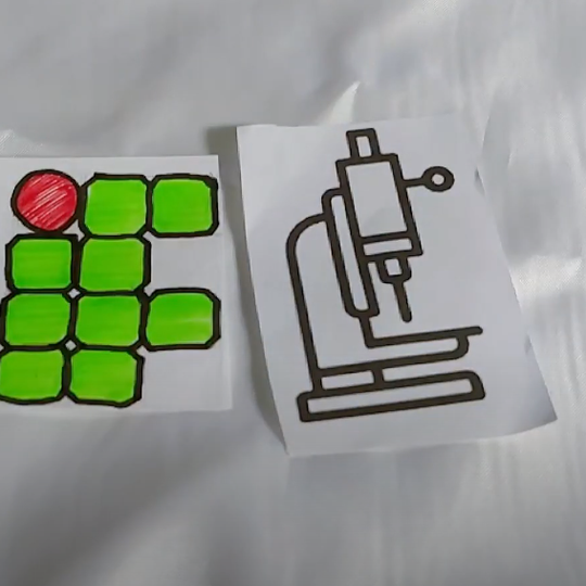 #42506 Alunas do Campus expõem projeto na Mostra Tecnológica do IFRN