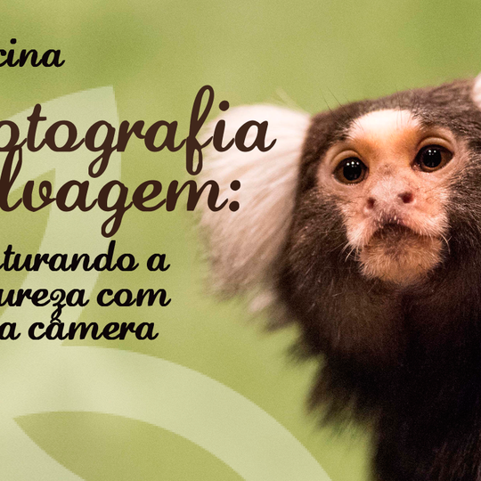 #42650 Inscrições abertas para oficina de 'fotografia selvagem'