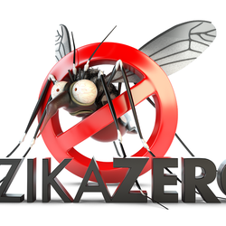 #42834 Comissão local realiza palestra sobre combate ao mosquito Aedes aegypti