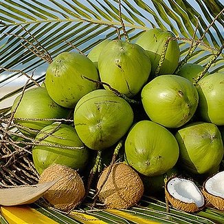 #43978 Projeto usa pó da casca do coco verde como matéria-prima de pesquisa