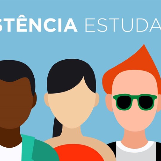 #44374 COAES apresenta e esclarece o PAPAE