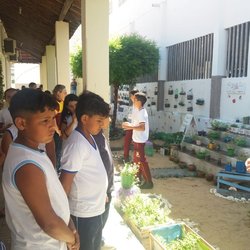 #4461 Projeto de extensão do Campus Ipanguaçu constrói horta e canteiro medicinal em escola de Angicos/RN