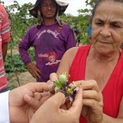 #44738 IFRN Currais Novos promove curso de autonomia e segurança alimentar para famílias rurais