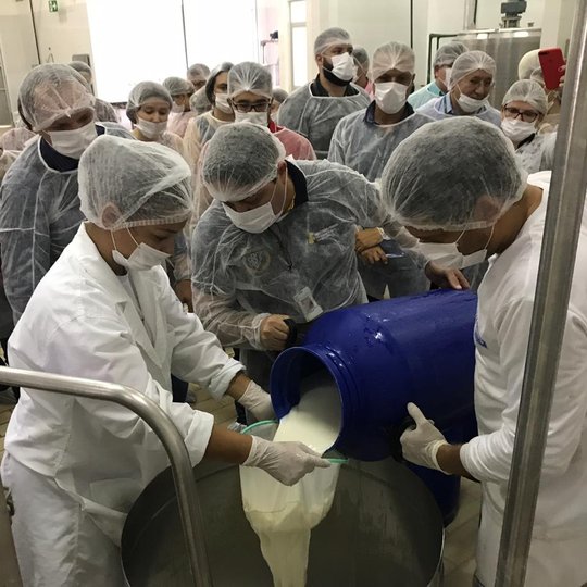 #45598 Integrantes do Colégio de Dirigentes conhecem o Centro de Tecnologia do Queijo
