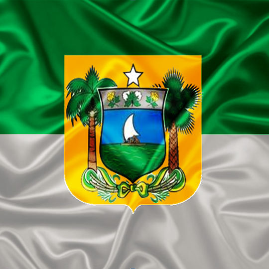 #45629 Dia do RN: O Papel da Identidade na Sociedade Global