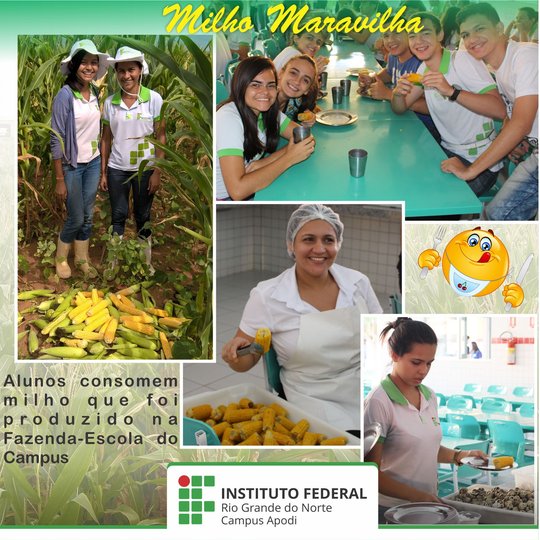 #45671 Plantando é que se colhe