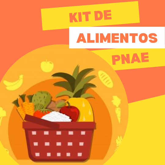 #4585 COAES organiza etapas para entrega de kits alimentação do PNAE