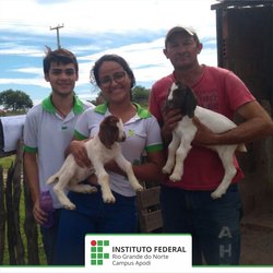 #45934 Alunos do Curso Técnico Integrado em Agropecuária entrevistam produtores rurais da cidade de Caraúbas 
