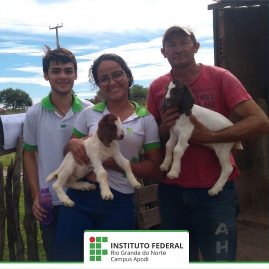 #45934 Alunos do Curso Técnico Integrado em Agropecuária entrevistam produtores rurais da cidade de Caraúbas 