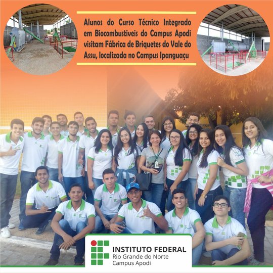 #46030 Alunos do Campus Apodi visitam a Fábrica de Briquetes Vale do Assu