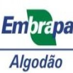 #46057 Inscrições abertas para estágios e bolsas na Embrapa Algodão