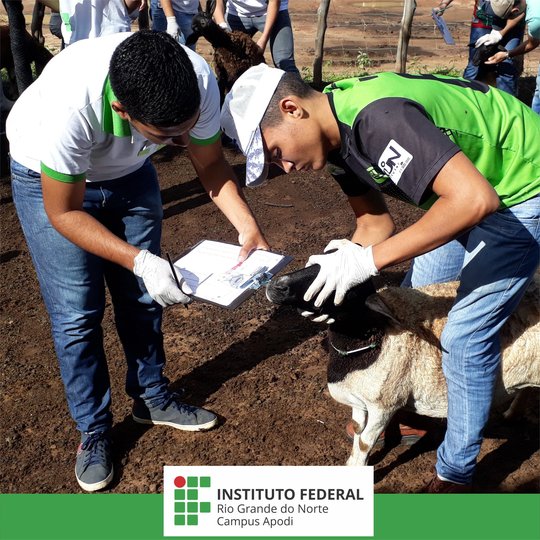 #46098 DIGUAE promove minicurso a alunos do Curso de Agropecuária