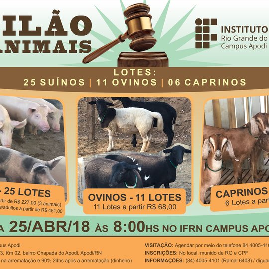 #46390 7º Leilão de suínos e ovinos do Campus Apodi