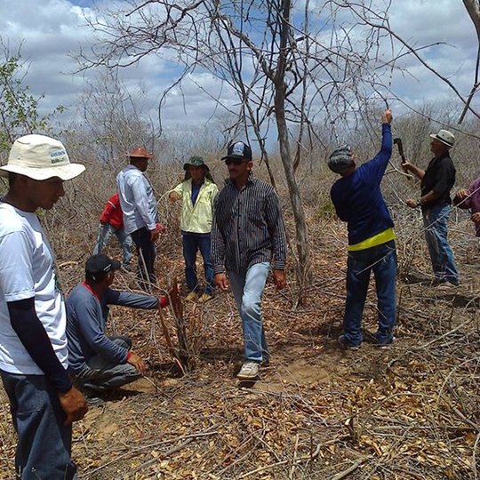 #4643 Campus Ipanguaçu promove curso de Manejo da Caatinga em Parceria com NEA/CEAAD/ INCRA
