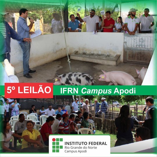#46472 O Campus Apodi promoveu o 5º Leilão de suínos, ovinos e caprinos