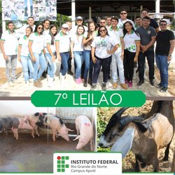 #46727 Campus Apodi leiloa 87 animais em 7ª edição do evento
