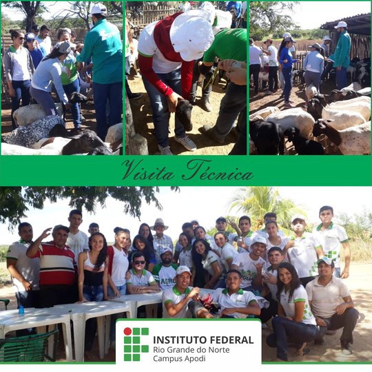 #46729 Alunos realizam visita técnica na zona rural de Umarizal (RN)