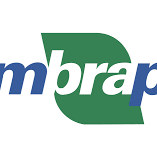 #46730 Inscrições abertas para estágios e bolsas na Embrapa Algodão 