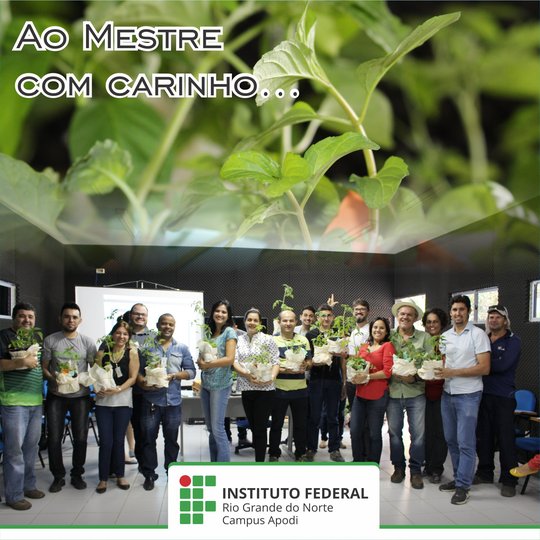 #46787 Em homenagem ao seu dia, professores recebem mudas de hortaliças