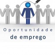 #46825 Oportunidade de emprego para técnicos nas áreas de Agricultura e Zootecnia