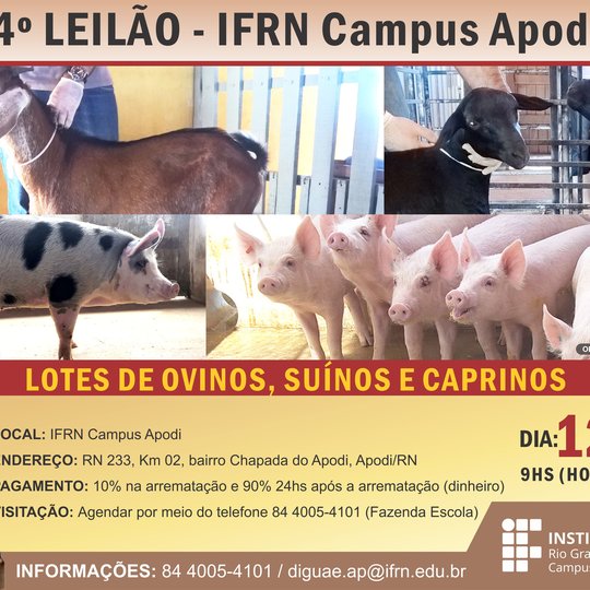 #46850 4º Leilão de suínos e ovinos do campus Apodi