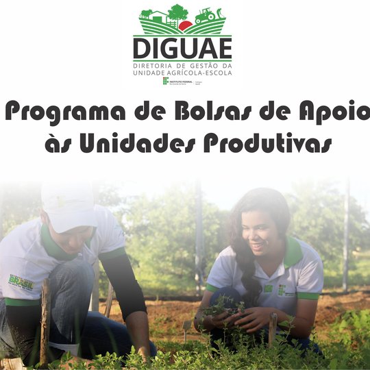 #46919 Abertas inscrições para o Programa de Bolsas de Apoio às Unidades Produtivas