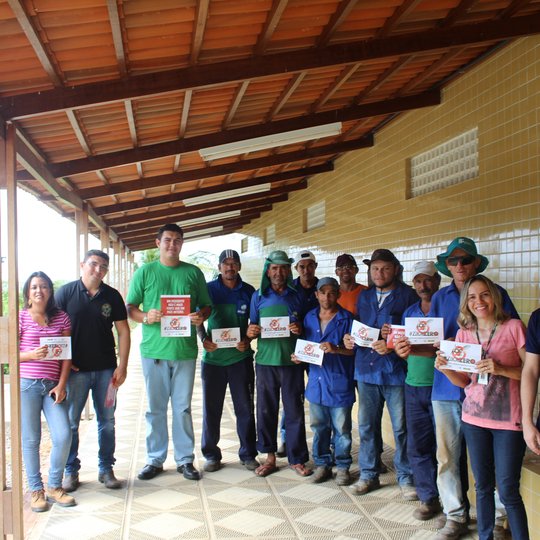 #47077 Combate ao mosquito Aedes aegypti