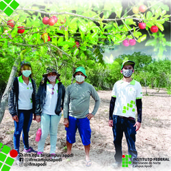 #47191 Projeto gera emprego, renda e desenvolvimento com o cultivo de acerola no município de Apodi.