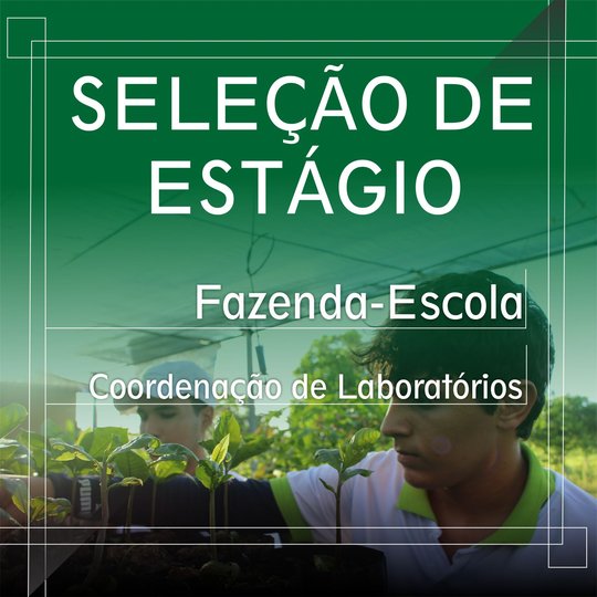 #47303 Campus Apodi abre seleção de estágios supervisionados